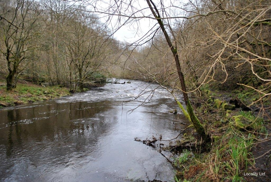 Derwent Gorge and Muggleswick Woods  NNR nature reserve (Durham)